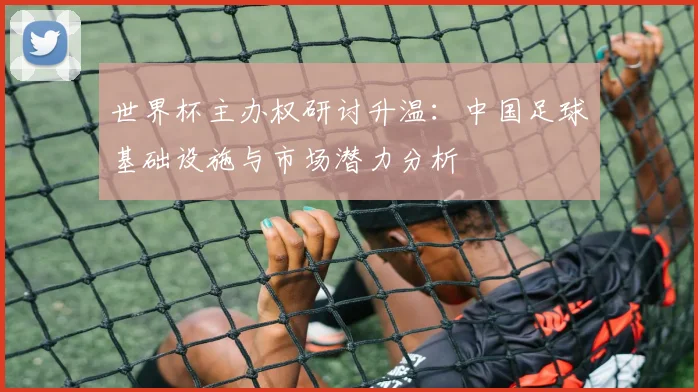 世界杯主办权研讨升温：中国足球基础设施与市场潜力分析