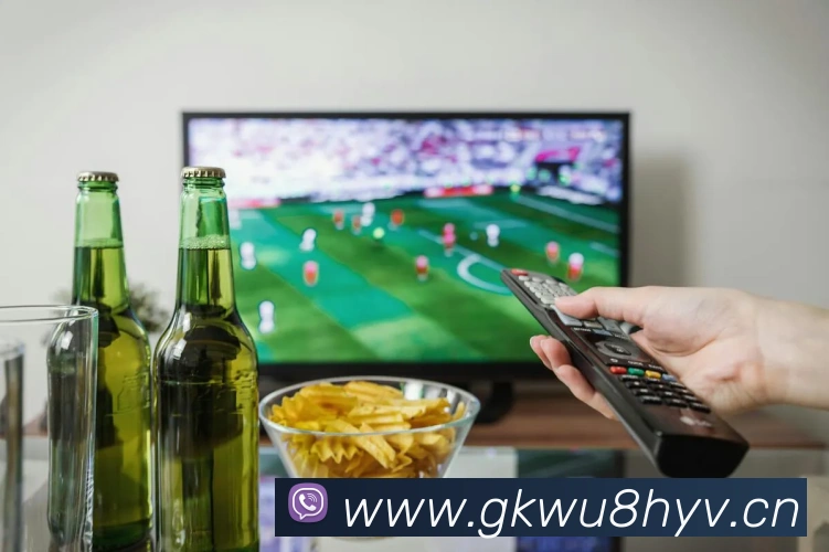 星空网官方入口平台生态图